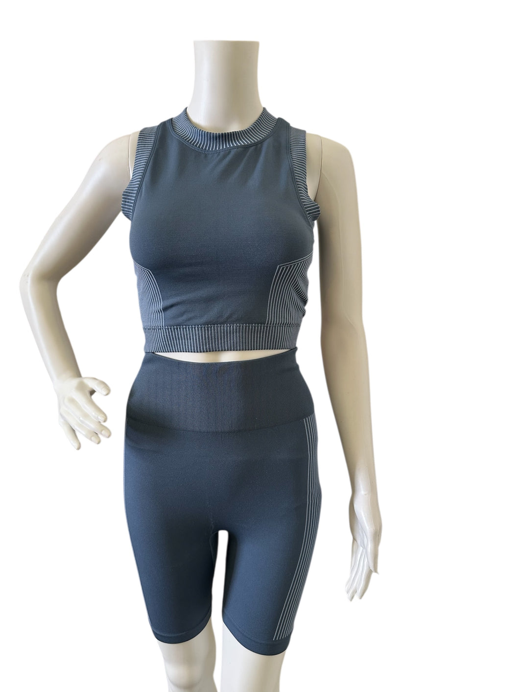 Bailey/44 Sport Crop Top and Leggings Set